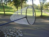 摺疊式昆蟲/蝴蝶撈網 70cm