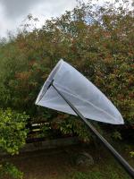 摺疊式昆蟲/蝴蝶撈網 50cm